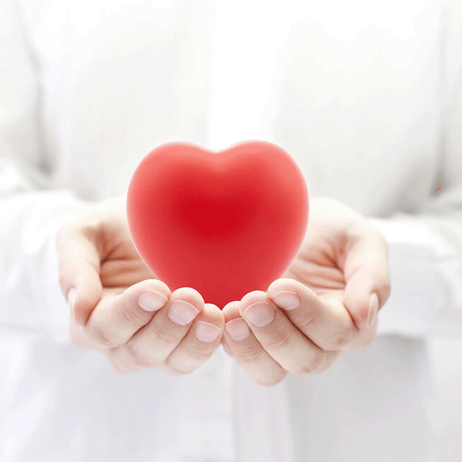 Mehr Informationen zum Thema: Herz schützen! Warum erhöhtes Cholesterin so gefährlich ist